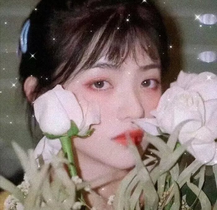 皇家次子女秘密组织